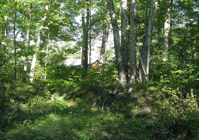 Photo 3 of Land for sale at Tbd Alpine Dr, Pequot Lakes, MN 56472 | MLS# 7157084 | Listing updated on 2026-10-08