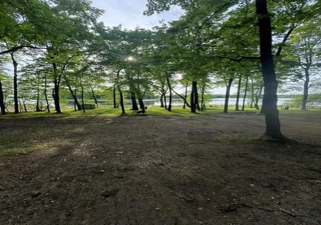 Photo 4 of Land for sale at 14040 Pearl Lake Dr, Detroit Lakes, MN 56501 | MLS# 7157109 | Listing updated on 2026-10-09