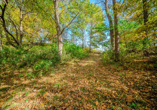 Photo 3 of Land for sale at Tbd County Rd 102, Grey Eagle, MN 56336 | MLS# 7157191 | Listing updated on 2026-10-08