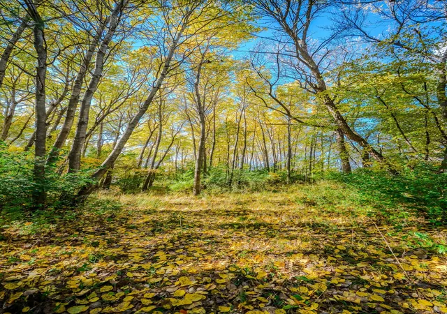 Photo 3 of Land for sale at Tbd County Rd 102, Grey Eagle, MN 56336 | MLS# 7157191 | Listing updated on 2026-10-08