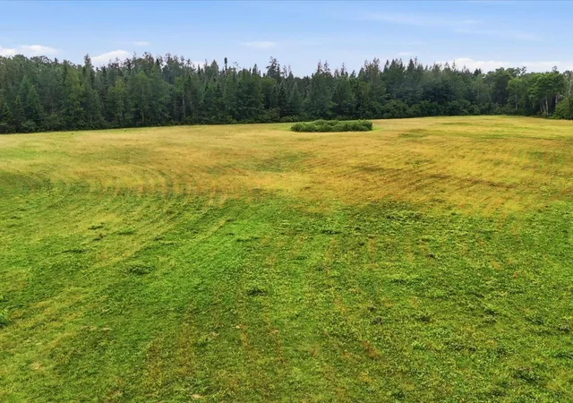 Photo 2 of Land for sale at Tbd 1 County Rd 904, Babbitt, MN 55706 | MLS# 7157405 | Listing updated on 2026-10-09