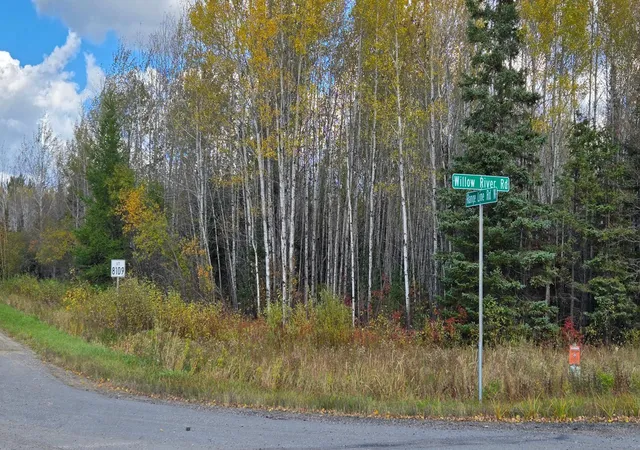 Photo 2 of Land for sale at Tbd 289 Rangeline Rd, Orr, MN 55771 | MLS# 7157529 | Listing updated on 2026-10-08