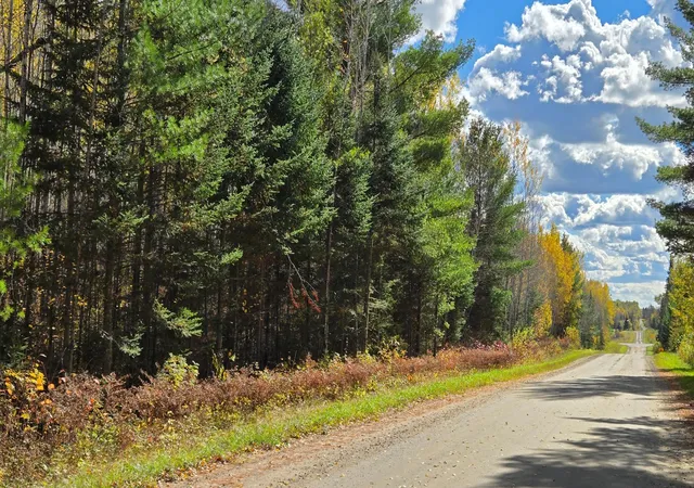 Photo 3 of Land for sale at Tbd 289 Rangeline Rd, Orr, MN 55771 | MLS# 7157529 | Listing updated on 2026-10-08