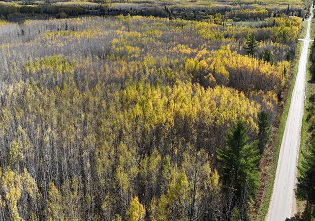 Photo 4 of Land for sale at Tbd 289 Rangeline Rd, Orr, MN 55771 | MLS# 7157529 | Listing updated on 2026-10-08