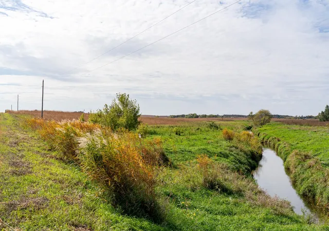 Photo 3 of Land for sale at Xxx 180th Street, New Richland, MN 56072 | MLS# 7157596 | Listing updated on 2026-10-09