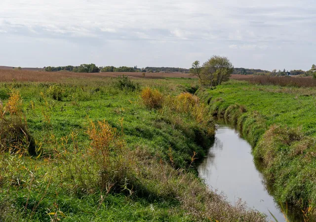 Photo 4 of Land for sale at Xxx 180th Street, New Richland, MN 56072 | MLS# 7157596 | Listing updated on 2026-10-09