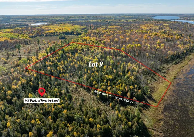 Photo 1 of Land for sale at Tbd Little Anglers Trl Ne Lot 9, Remer, MN 56672 | MLS# 7157693 | Listing updated on 2026-10-10
