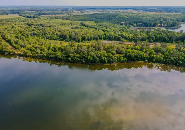 Photo 3 of Land for sale at Tbd County 81, Park Rapids, MN 56470 | MLS# 7157831 | Listing updated on 2026-10-09