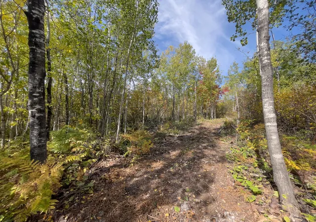 Photo 4 of Land for sale at 52xx Ramsdell Hts Rd, Silver Bay, MN 55614 | MLS# 7157936 | Listing updated on 2026-10-09