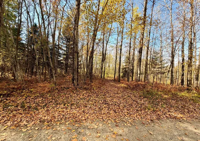 Photo 1 of Land for sale at Tbd County Rd 303, Deer River, MN 56636 | MLS# 7157985 | Listing updated on 2026-10-09