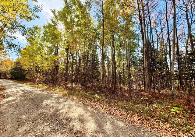 Photo 2 of Land for sale at Tbd County Rd 303, Deer River, MN 56636 | MLS# 7157985 | Listing updated on 2026-10-09