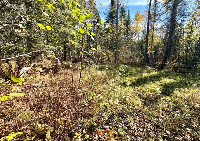 Photo 3 of Land for sale at Tbd County Rd 303, Deer River, MN 56636 | MLS# 7157985 | Listing updated on 2026-10-09