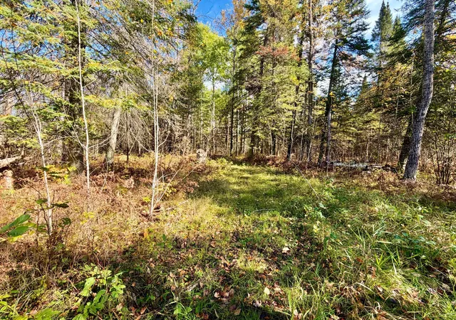 Photo 3 of Land for sale at Tbd County Rd 303, Deer River, MN 56636 | MLS# 7157985 | Listing updated on 2026-10-09