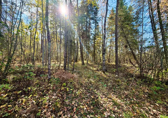 Photo 4 of Land for sale at Tbd County Rd 303, Deer River, MN 56636 | MLS# 7157985 | Listing updated on 2026-10-09