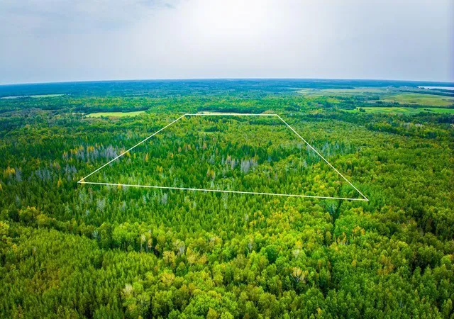 Photo 1 of Land for sale at 12479 Battle Rd Ne, Blackduck, MN 56630 | MLS# 7158037 | Listing updated on 2026-10-09