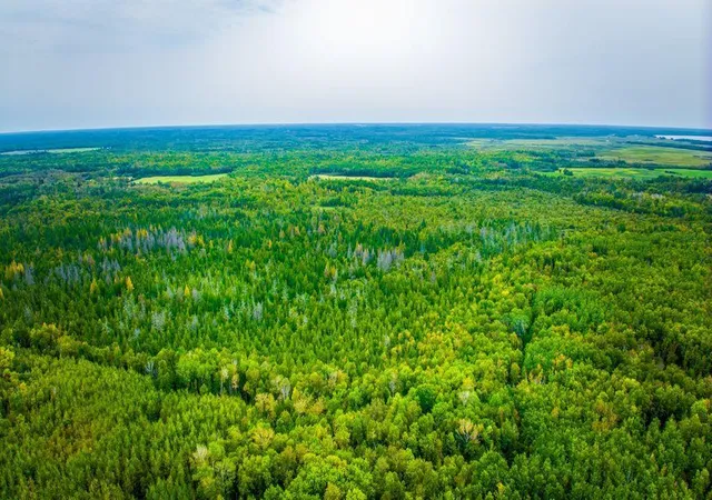 Photo 3 of Land for sale at 12479 Battle Rd Ne, Blackduck, MN 56630 | MLS# 7158037 | Listing updated on 2026-10-09