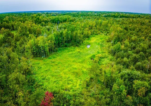 Photo 4 of Land for sale at 12479 Battle Rd NE, Blackduck, MN 56630 | MLS# 7158037 | Listing updated on 2026-10-09
