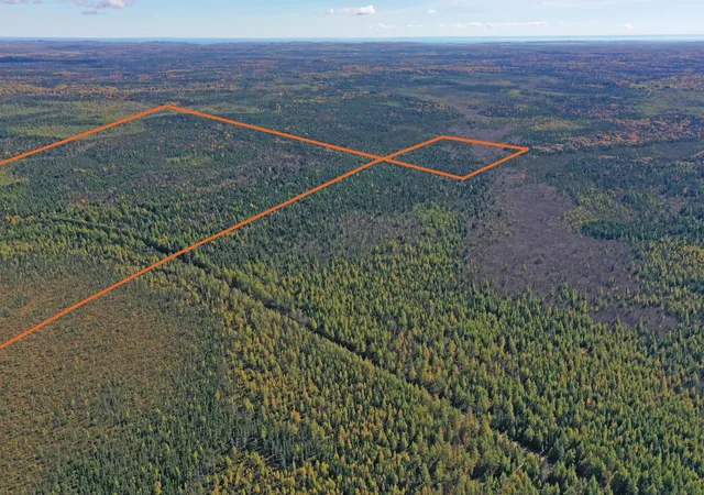 Land for sale at 3098 Whyte Rd, Two Harbors, MN 55616 | MLS# 7158324