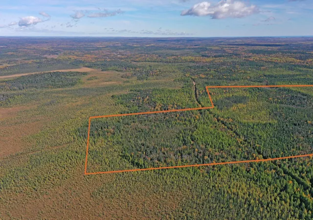 Photo 1 of Land for sale at 3098 Whyte Rd, Two Harbors, MN 55616 | MLS# 7158324 | Listing updated on 2026-10-10