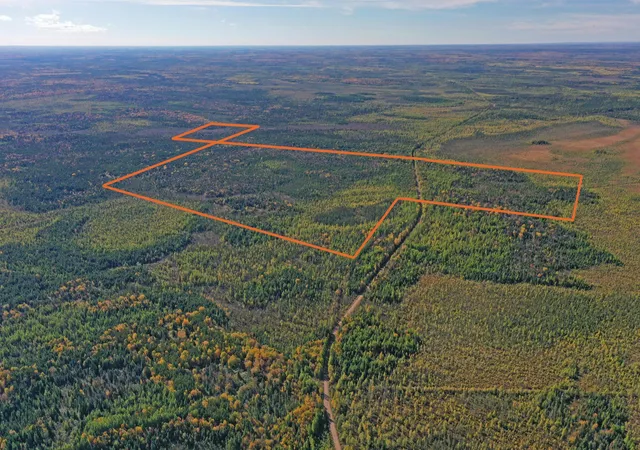Photo 2 of Land for sale at 3098 Whyte Rd, Two Harbors, MN 55616 | MLS# 7158324 | Listing updated on 2026-10-10