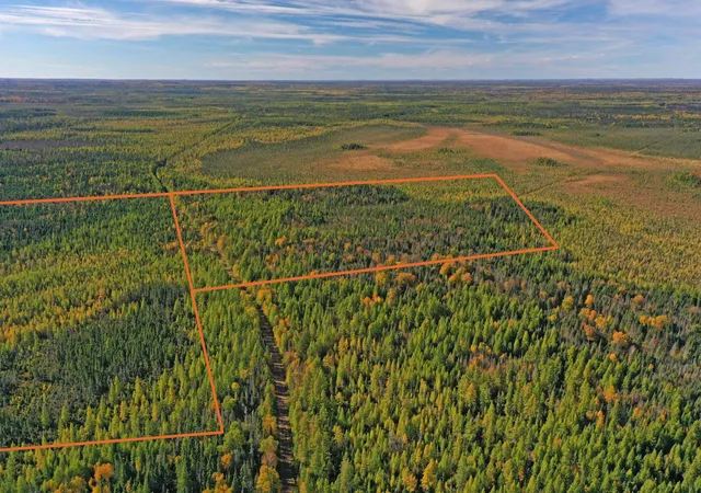 Photo 3 of Land for sale at 3098 Whyte Rd, Two Harbors, MN 55616 | MLS# 7158324 | Listing updated on 2026-10-10