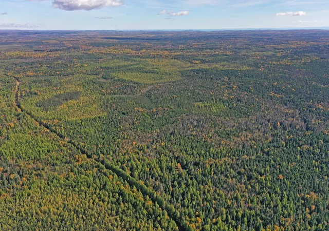 Photo 4 of Land for sale at 3098 Whyte Rd, Two Harbors, MN 55616 | MLS# 7158324 | Listing updated on 2026-10-10