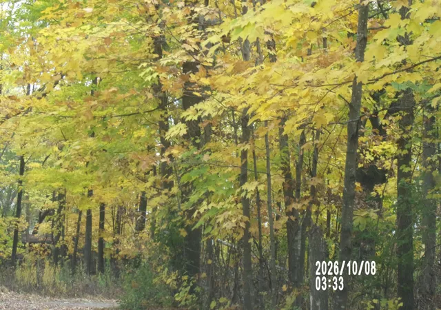 Photo 1 of Land for sale at 11522 Debra Ln, Ogilvie, MN 56358 | MLS# 7158334 | Listing updated on 2026-10-10