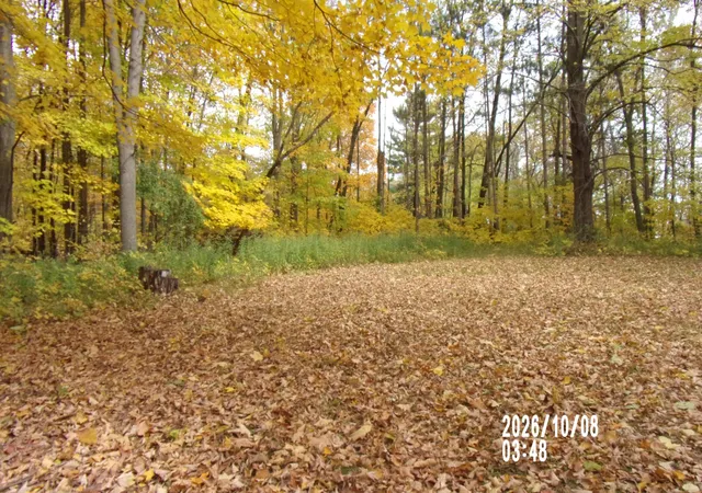Photo 4 of Land for sale at 11522 Debra Ln, Ogilvie, MN 56358 | MLS# 7158334 | Listing updated on 2026-10-10