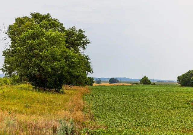 Photo 3 of Land for sale at Tbd 4 Ave NE Lot 1, Bottineau, ND 58318 | MLS# 7158418 | Listing updated on 2026-10-12