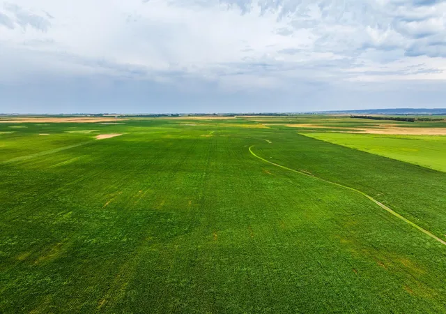 Photo 1 of Land for sale at Tbd 97 St Ne Lot 3, Bottineau, ND 58318 | MLS# 7158424 | Listing updated on 2026-10-12