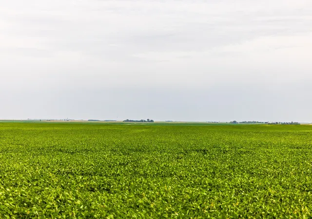 Photo 2 of Land for sale at Tbd 97 St Ne Lot 3, Bottineau, ND 58318 | MLS# 7158424 | Listing updated on 2026-10-12