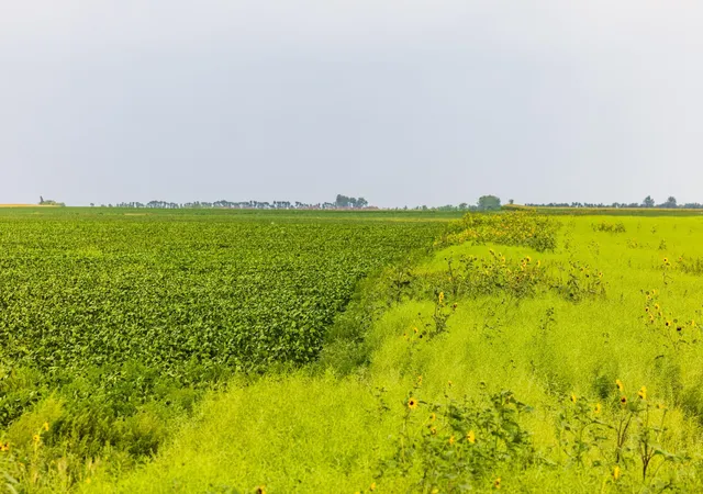 Photo 3 of Land for sale at Tbd 97 St NE Lot 3, Bottineau, ND 58318 | MLS# 7158424 | Listing updated on 2026-10-12