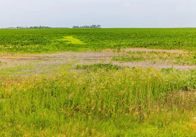 Photo 4 of Land for sale at Tbd 97 St NE Lot 3, Bottineau, ND 58318 | MLS# 7158424 | Listing updated on 2026-10-12