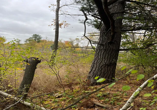 Photo 1 of Land for sale at Tbd Tamarack St, Turtle Lake, WI 54889 | MLS# 7158890 | Listing updated on 2026-10-16