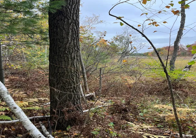 Photo 2 of Land for sale at Tbd Tamarack St, Turtle Lake, WI 54889 | MLS# 7158890 | Listing updated on 2026-10-16