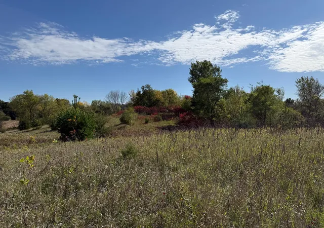 Photo 1 of Land for sale at Xxx Canby, Webster, MN 55088 | MLS# 7158893 | Listing updated on 2026-10-13