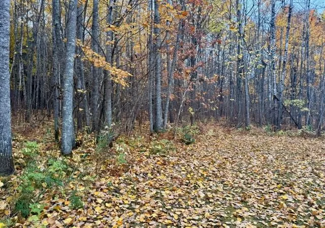 Photo 3 of Sale Pending at 31258 County Rd 67, Grand Rapids, MN 55744 | MLS# 7159722 | Listing updated on 2026-10-17