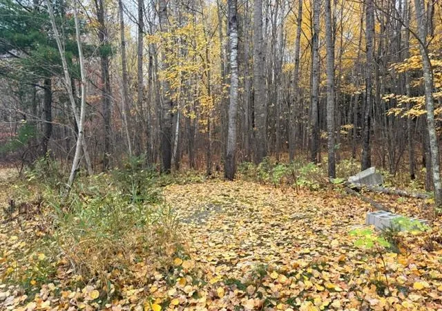 Photo 4 of Sale Pending at 31258 County Rd 67, Grand Rapids, MN 55744 | MLS# 7159722 | Listing updated on 2026-10-17