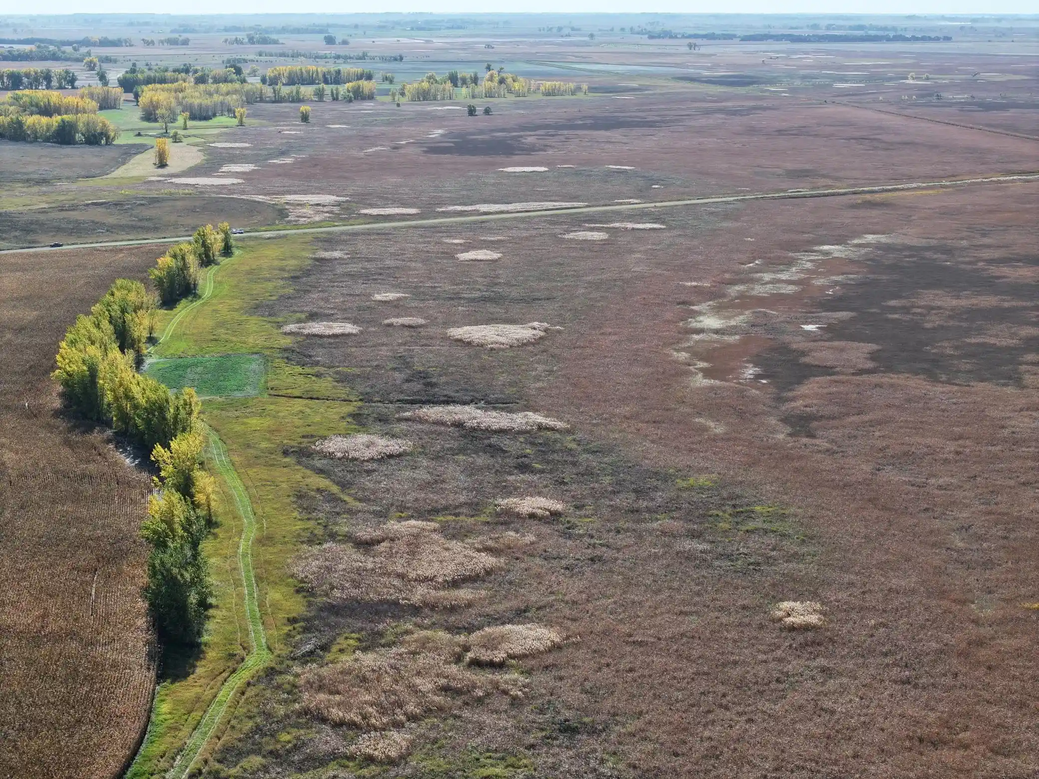 Photo 1 of Land for sale at Tbd Co Rd 3, Cogswell, ND 58017 | MLS# 7160388 | Listing updated on 2026-10-24