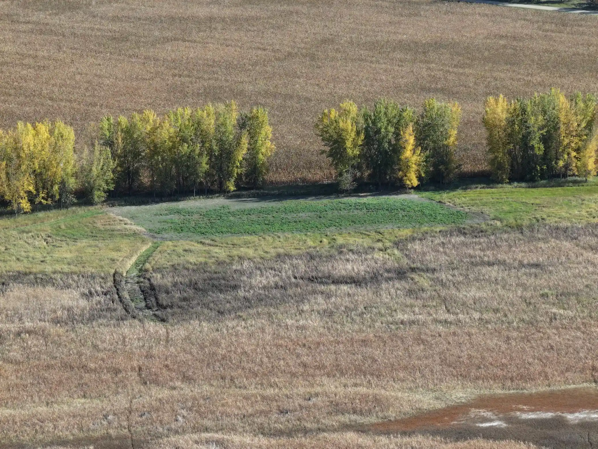 Photo 2 of Land for sale at Tbd Co Rd 3, Cogswell, ND 58017 | MLS# 7160388 | Listing updated on 2026-10-24