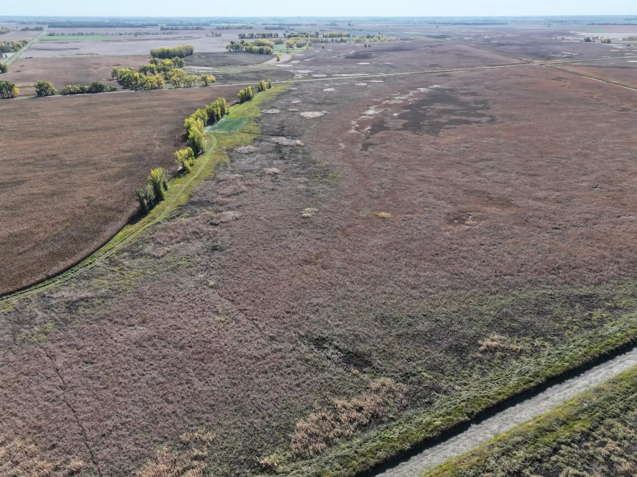 Photo 3 of Land for sale at Tbd Co Rd 3, Cogswell, ND 58017 | MLS# 7160388 | Listing updated on 2026-10-24