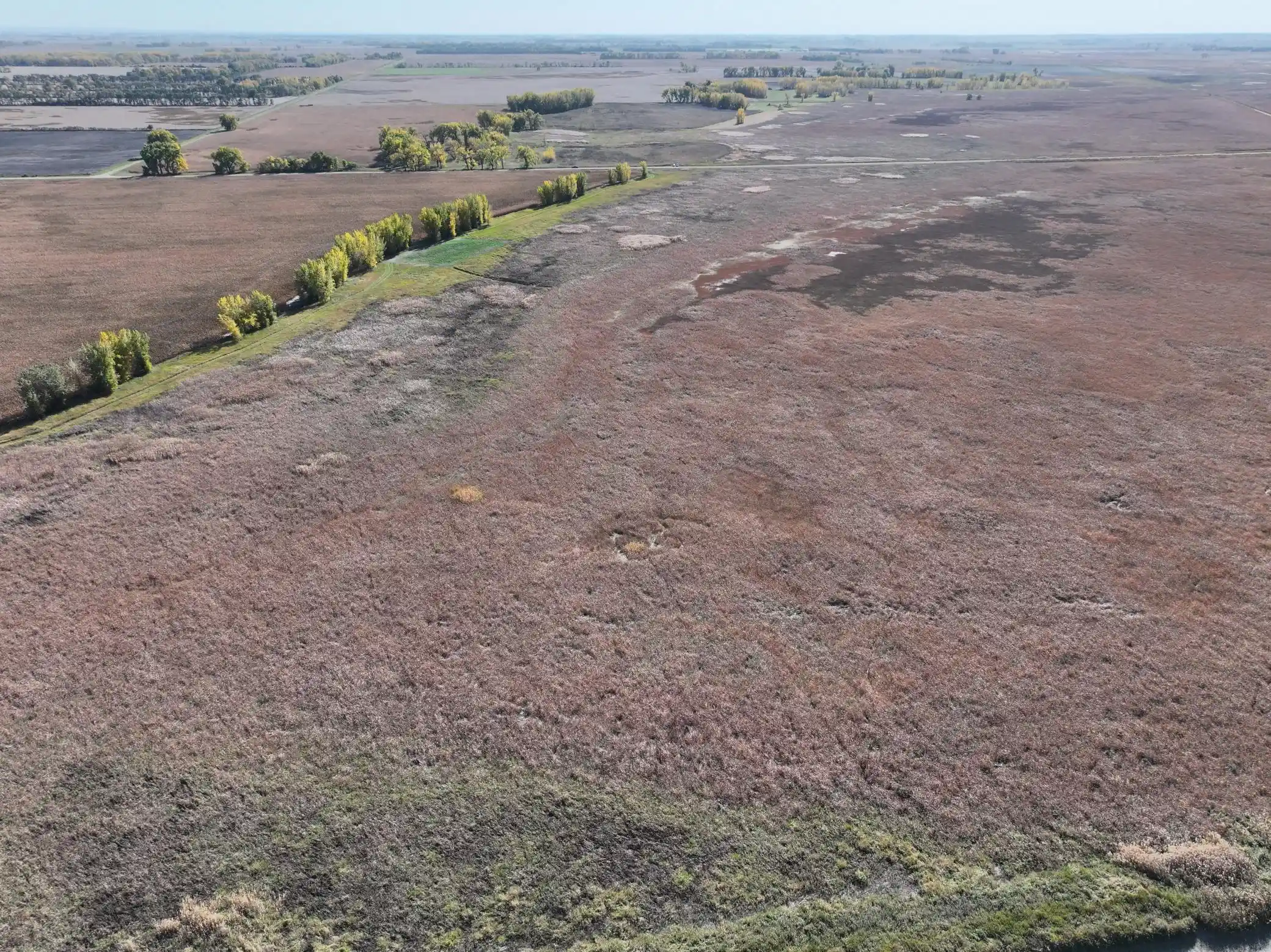 Photo 4 of Land for sale at Tbd Co Rd 3, Cogswell, ND 58017 | MLS# 7160388 | Listing updated on 2026-10-24