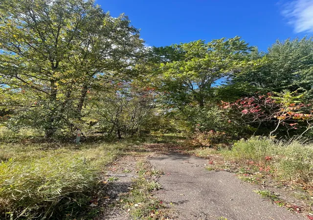 Photo 1 of Land for sale at 1383 Highway 107, Grasston, MN 55030 | MLS# 7160626 | Listing updated on 2026-10-15