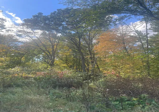 Photo 3 of Land for sale at 1383 Highway 107, Grasston, MN 55030 | MLS# 7160626 | Listing updated on 2026-10-15