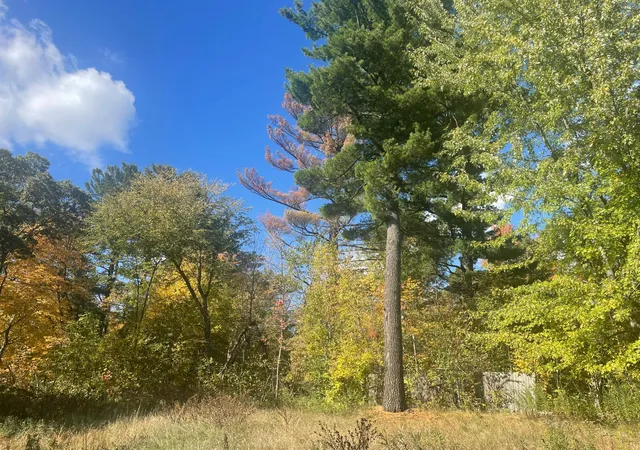 Photo 4 of Land for sale at 1383 Highway 107, Grasston, MN 55030 | MLS# 7160626 | Listing updated on 2026-10-15