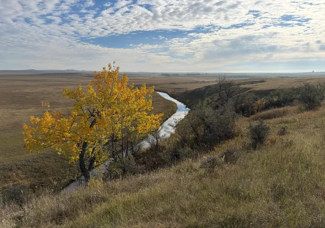 Photo 1 of Land for sale at Tbd 14th Street Ne, Hettinger, ND 58639 | MLS# 7160753 | Listing updated on 2026-10-20