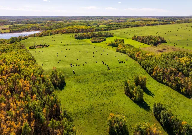Photo 3 of Land for sale at Tbd 108 Street NE, Saint John, ND 58369 | MLS# 7161034 | Listing updated on 2026-10-18