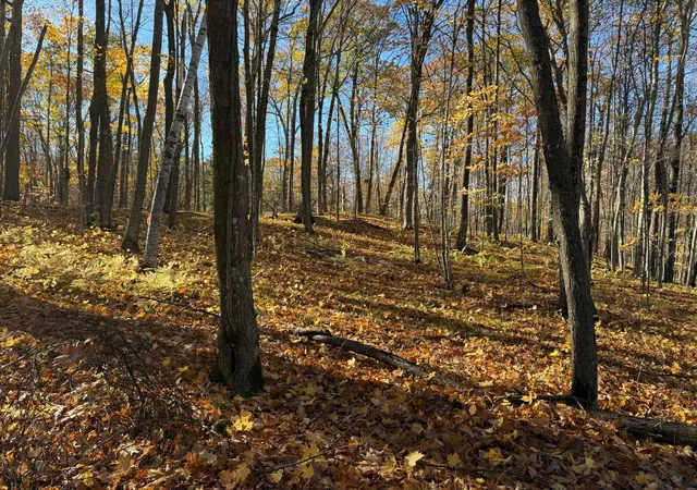 Photo 2 of Land for sale at Tbd County Hwy Md, Sarona, WI 54870 | MLS# 7161719 | Listing updated on 2026-10-19