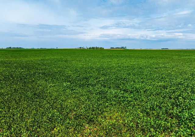 Photo 4 of Land for sale at Tbd 3 Ave NE Lot 2, Bottineau, ND 58318 | MLS# 7161752 | Listing updated on 2026-10-19