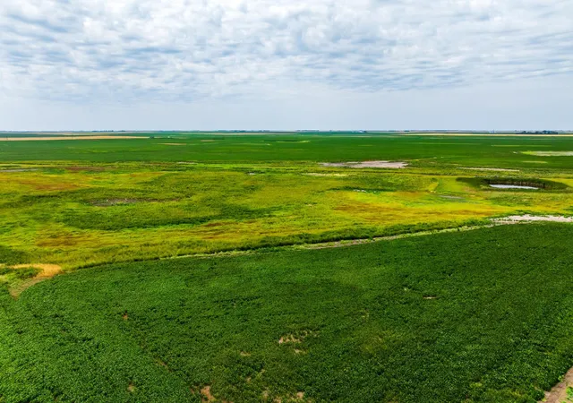 Photo 1 of Land for sale at Tbd 98 St Ne Lot 3, Bottineau, ND 58318 | MLS# 7161758 | Listing updated on 2026-10-18